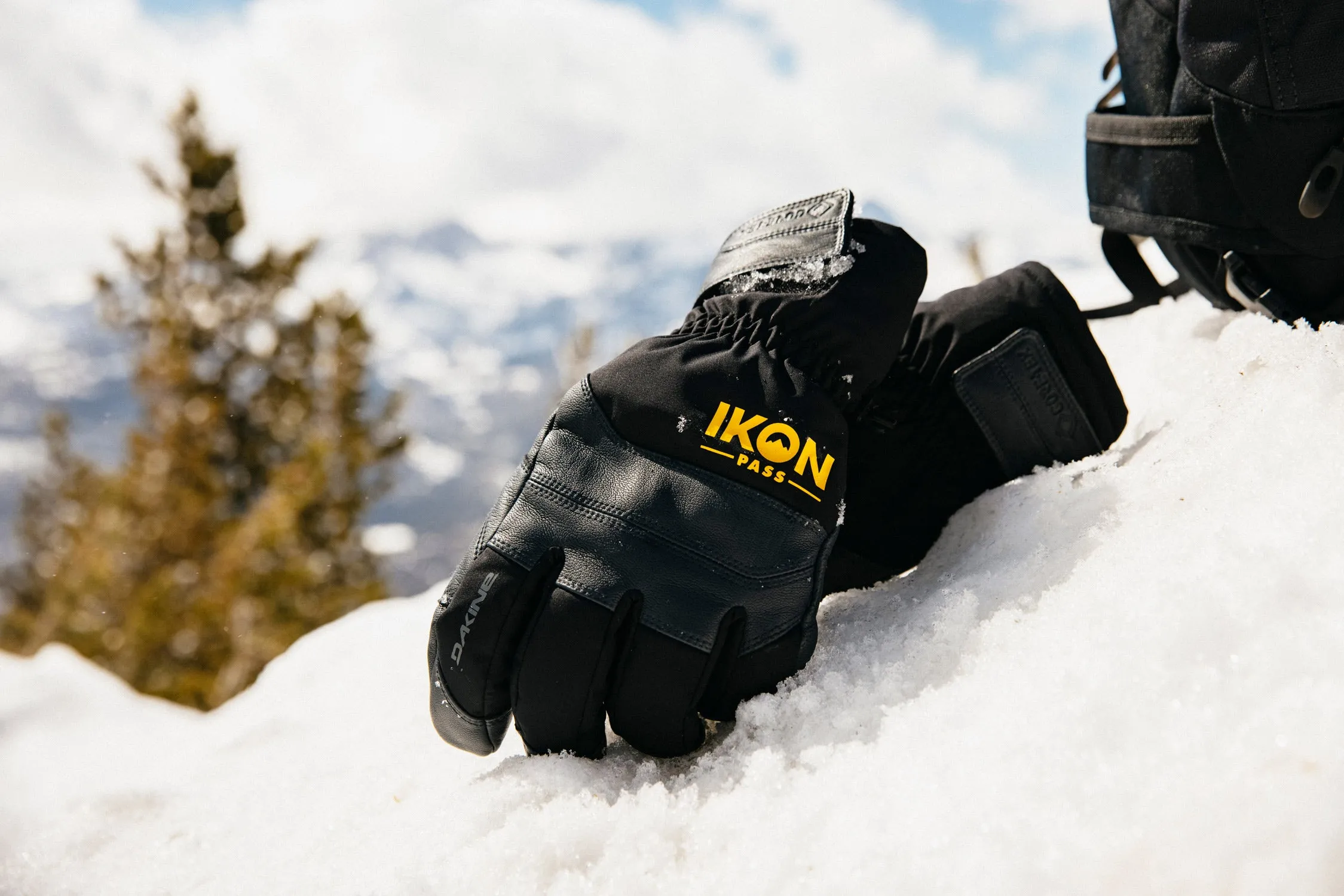 Excursion GORE-TEX Short Glove IKON - Men's
