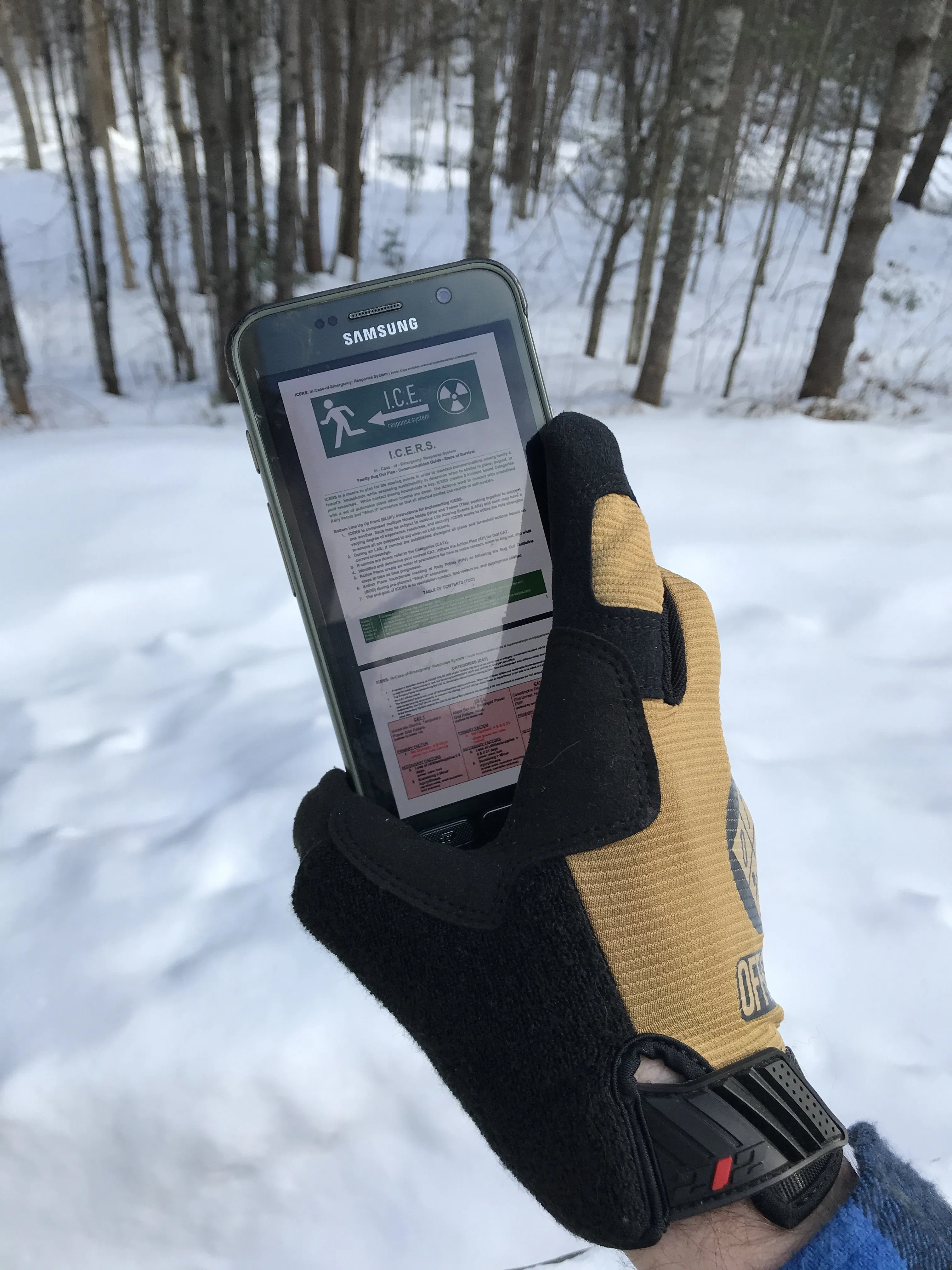 ICERS - In Case of Emergency Response System and Bugout Plan